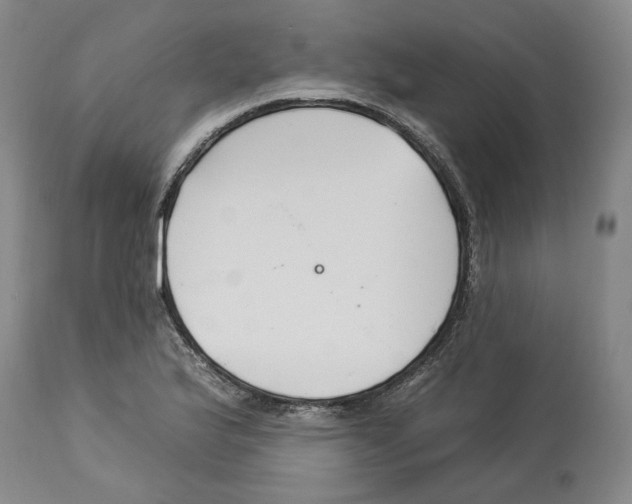 X0000112931175200910051124