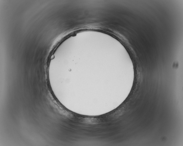 X0000112931176200910051124