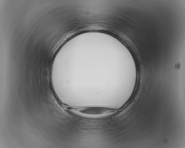 X0000112931177200910051124