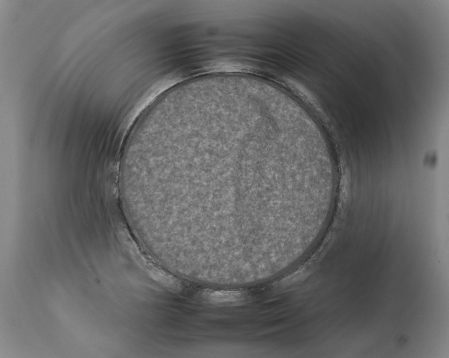X0000112931178200910051124