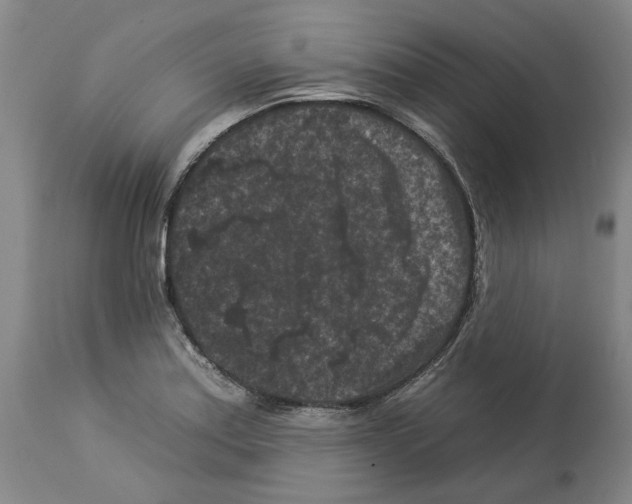 X0000112931179200910051124