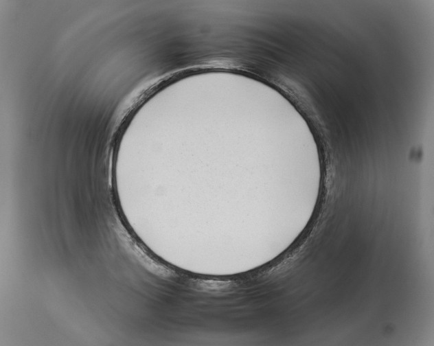 X0000112931180200910051124