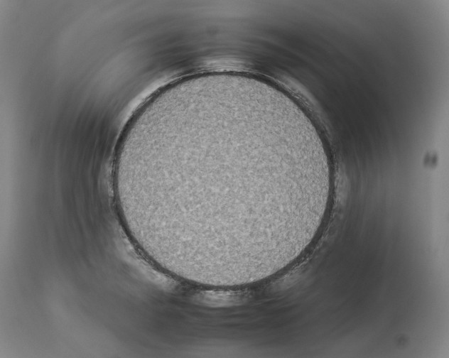 X0000112931182200910051124