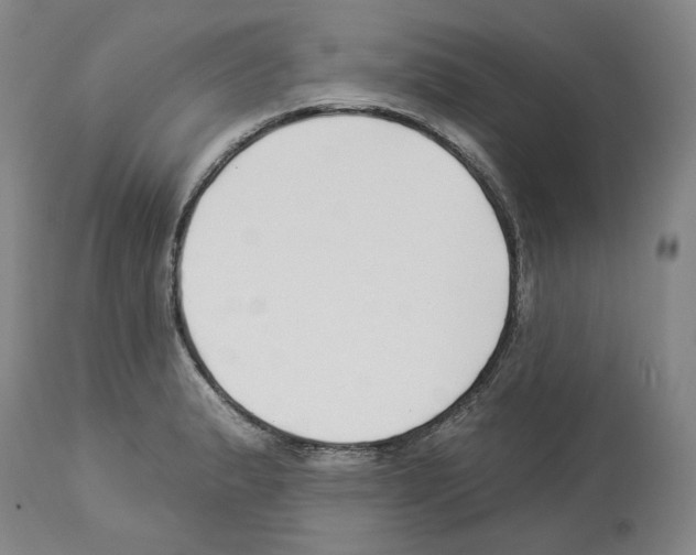 X0000112931183200910051124