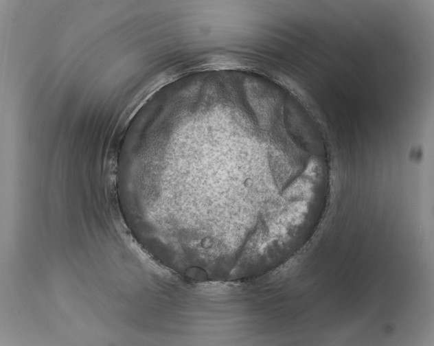 X0000112931185200910051124