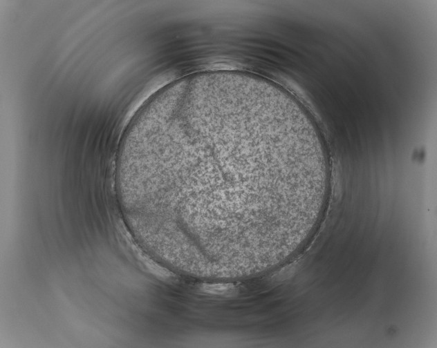 X0000112931186200910051124