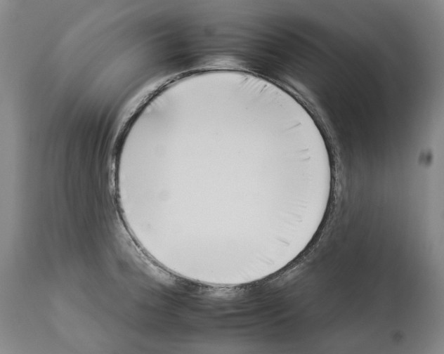X0000112931188200910051124