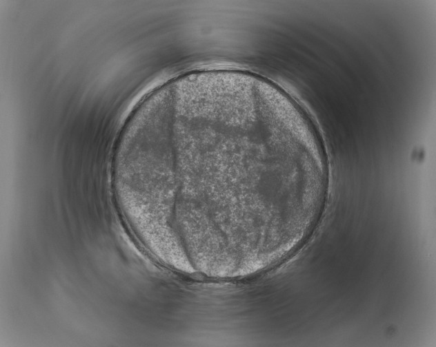 X0000112931189200910051124
