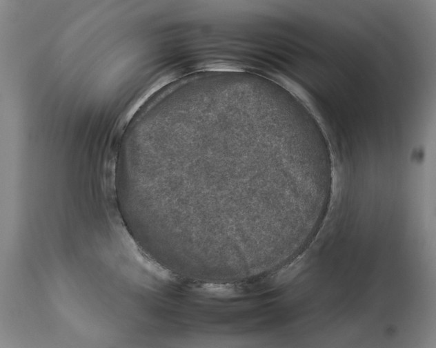 X0000112931194200910051124