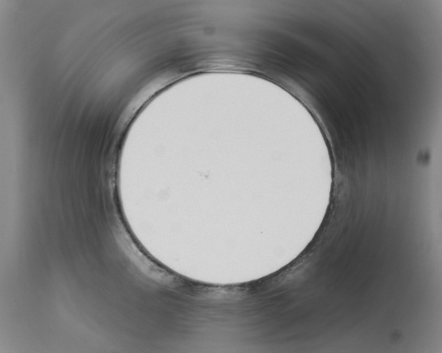 X0000112931195200910051124