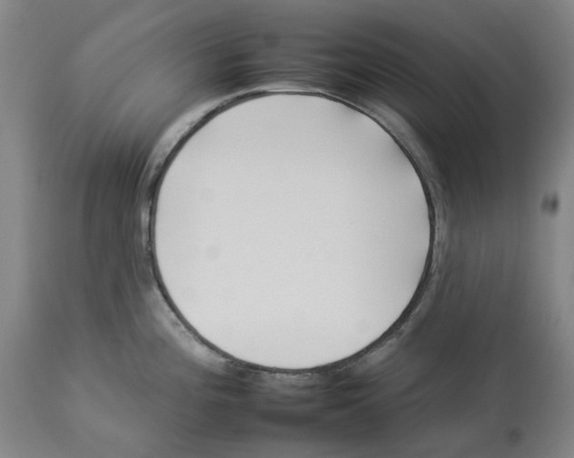 X0000112931196200910051124
