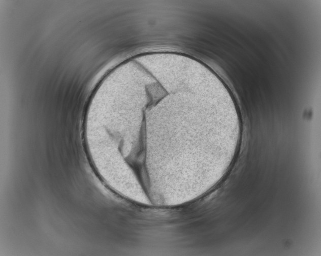 X0000112931197200910051124