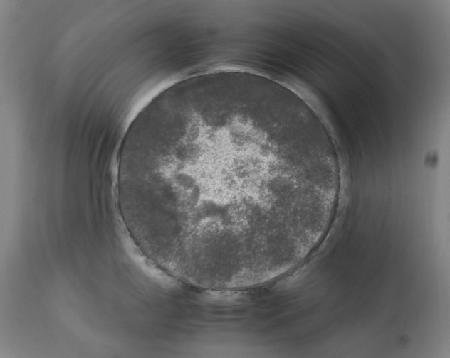 X0000112931198200910051124