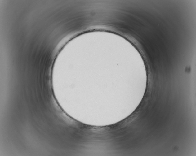 X0000112931199200910051124