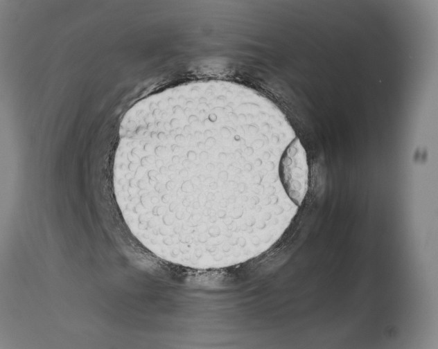 X0000112931201200910051123