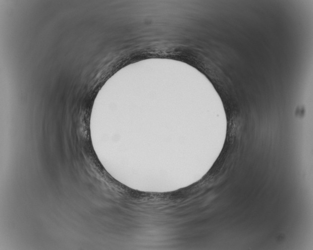 X0000112931202200910051123