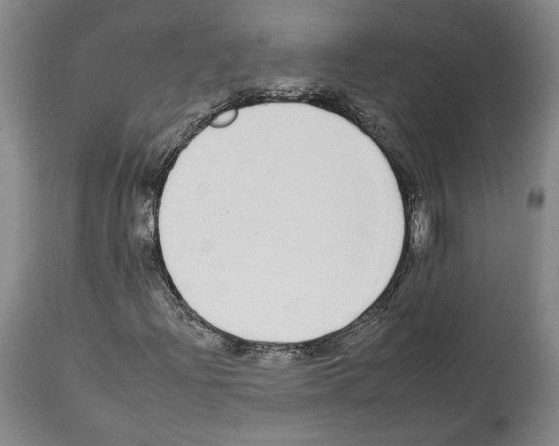 X0000112931204200910051123