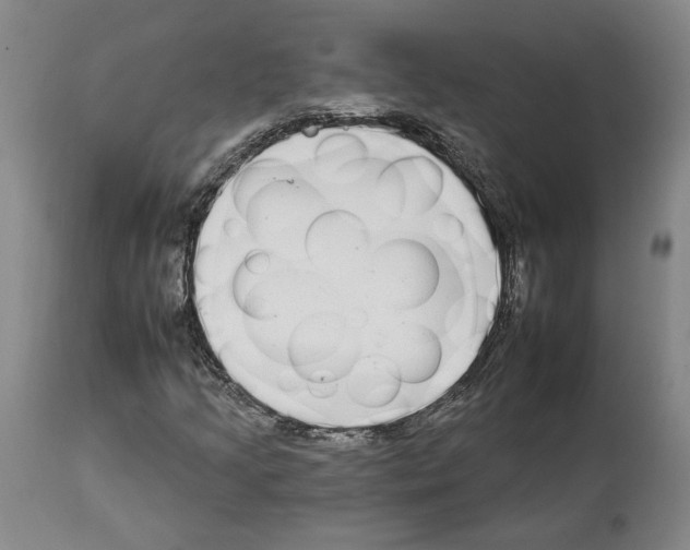 X0000112931205200910051123