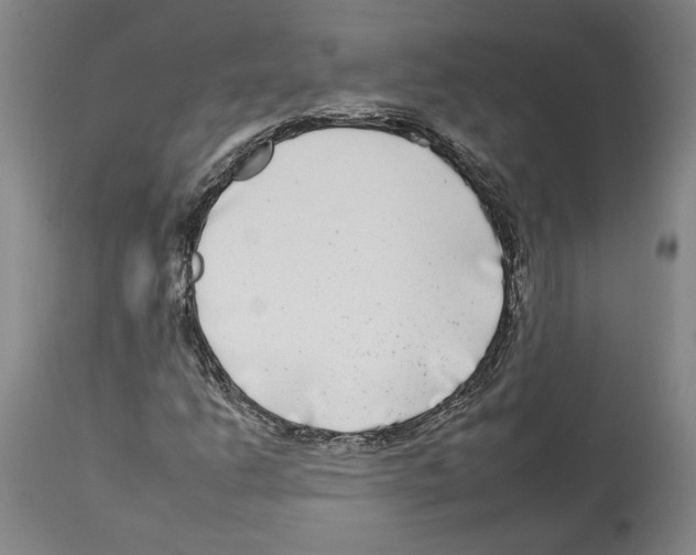 X0000112931206200910051123