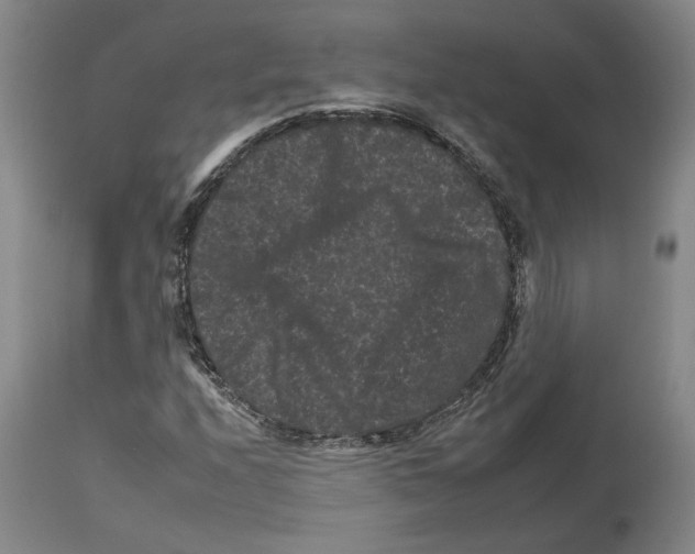 X0000112931208200910051123