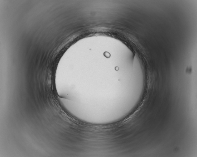 X0000112931209200910051123