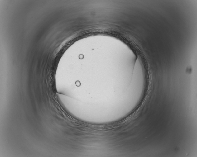 X0000112931210200910051123