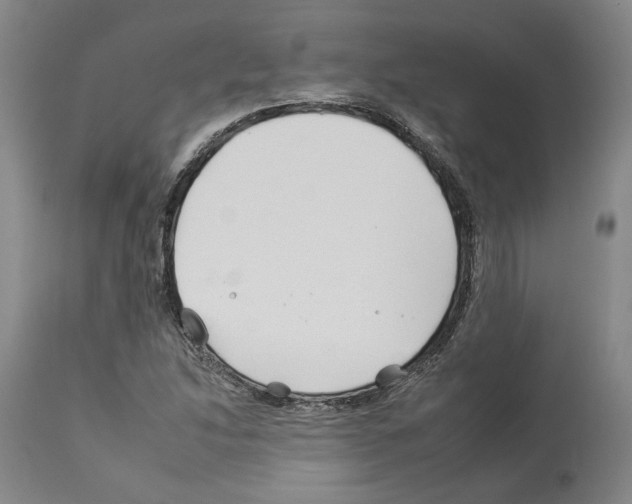 X0000112931214200910051123