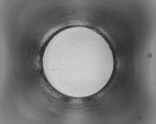 X0000112931215200910051123