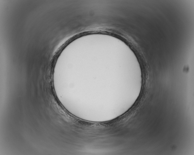 X0000112931216200910051123