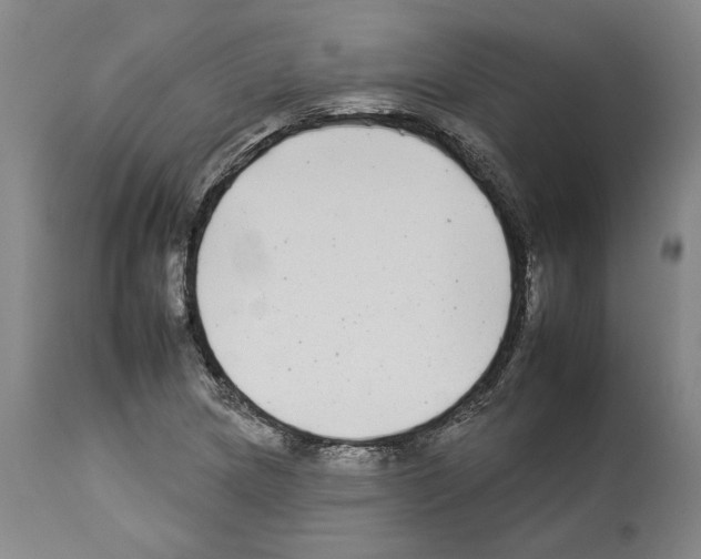 X0000112931217200910051123