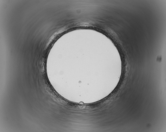 X0000112931218200910051124