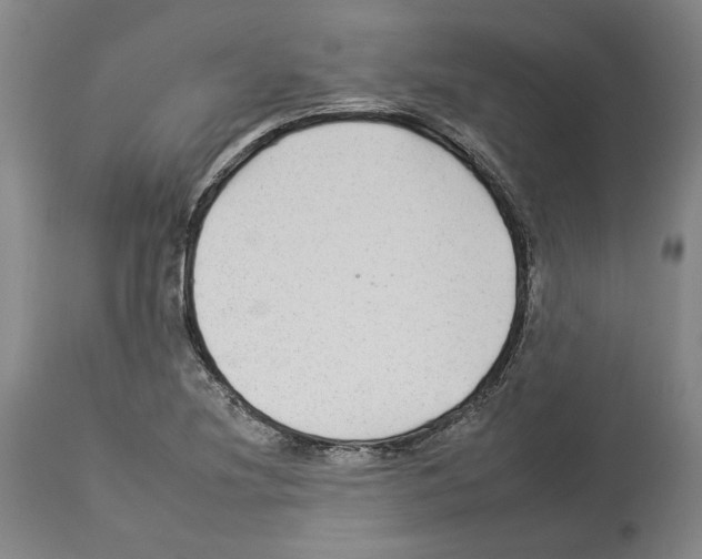 X0000112931220200910051124