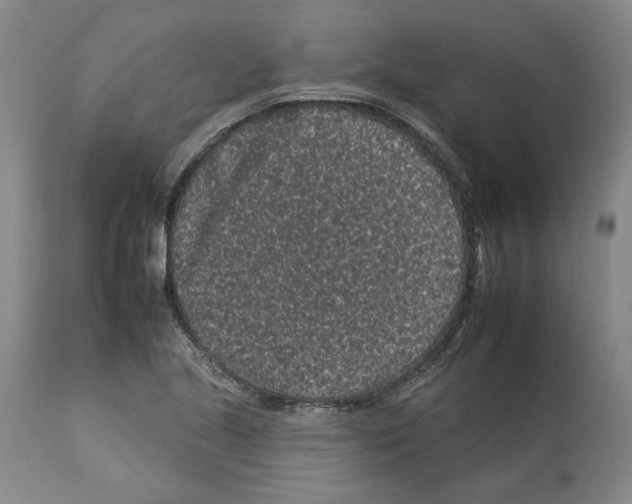 X0000112931221200910051124