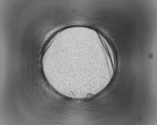 X0000112931222200910051124