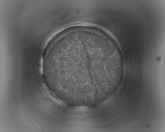 X0000112931223200910051124