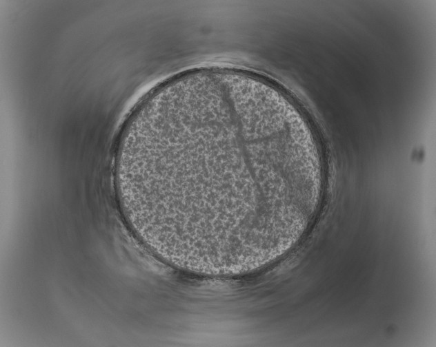 X0000112931224200910051124