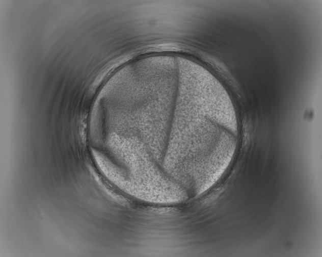 X0000112931225200910051124