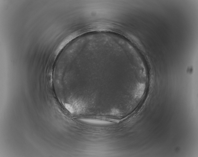 X0000112931226200910051124