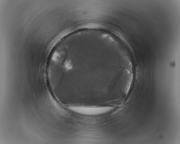 X0000112931229200910051124