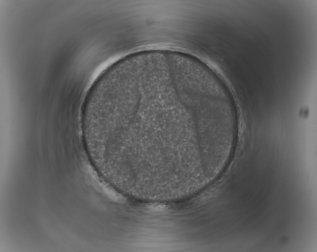 X0000112931230200910051124