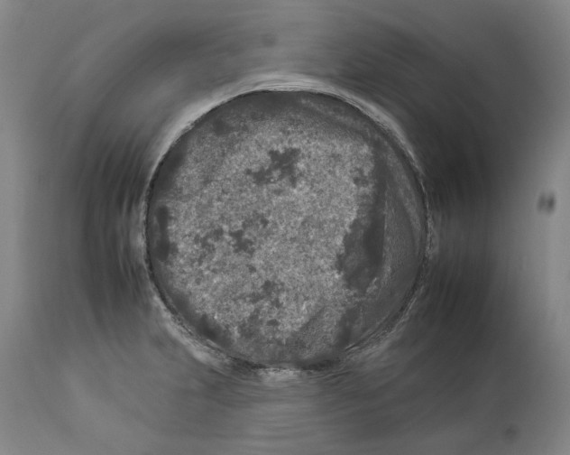 X0000112931231200910051124