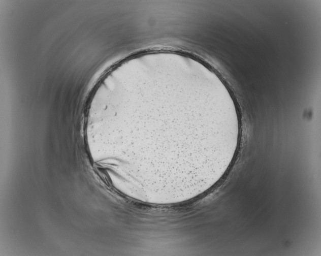 X0000112931232200910051124