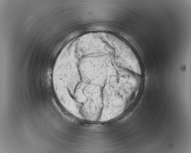 X0000112931233200910051124
