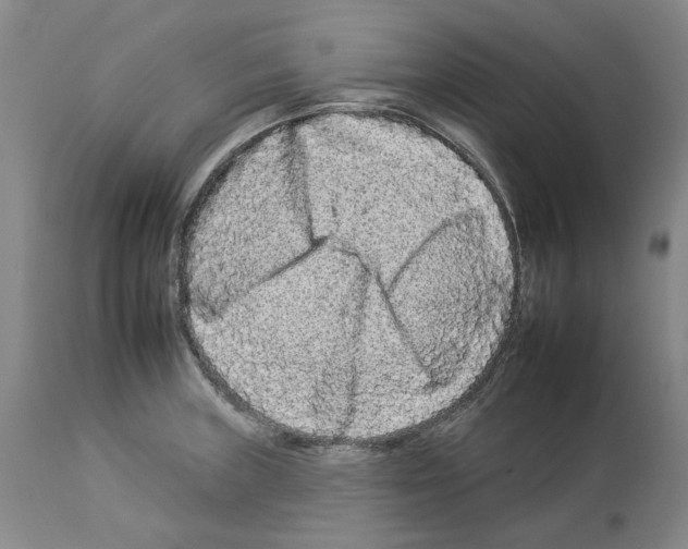 X0000112931235200910051124