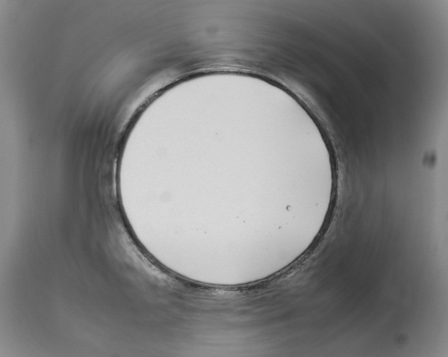 X0000112931238200910051124