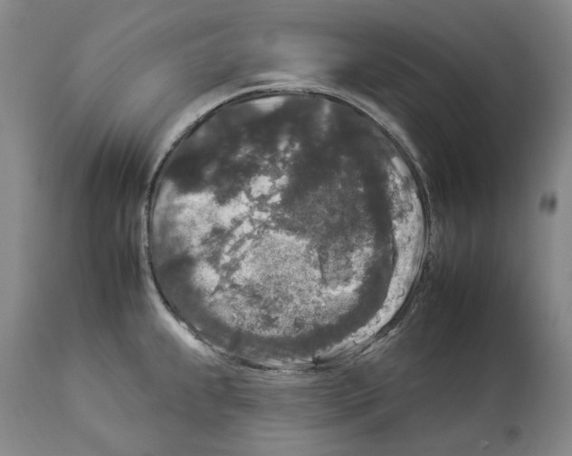 X0000112931239200910051124