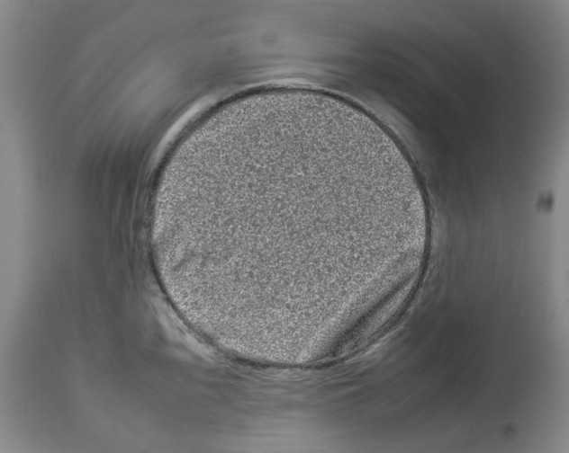 X0000112931240200910051124