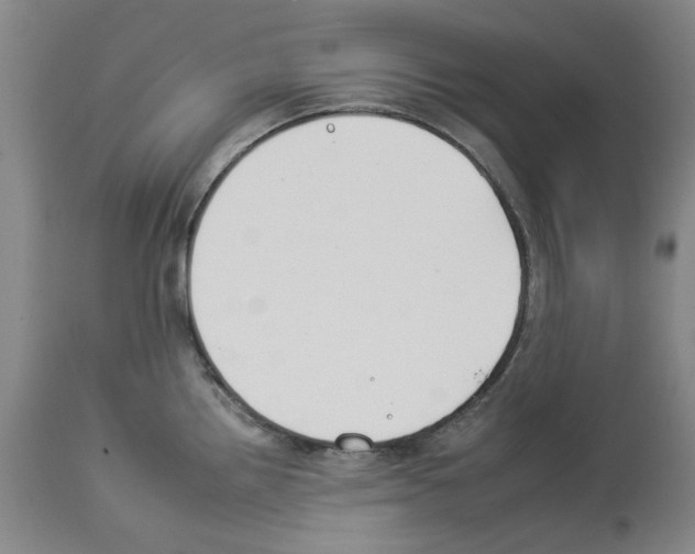 X0000112931242200910051124