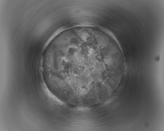X0000112931243200910051124