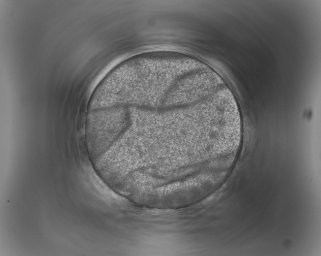 X0000112931244200910051124